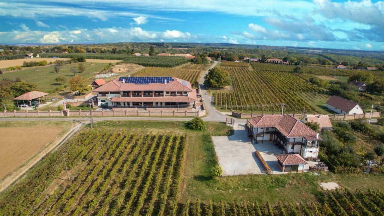 Bed and Breakfast Ebner Pince - Panzio Turbékpuszta Zewnętrze zdjęcie